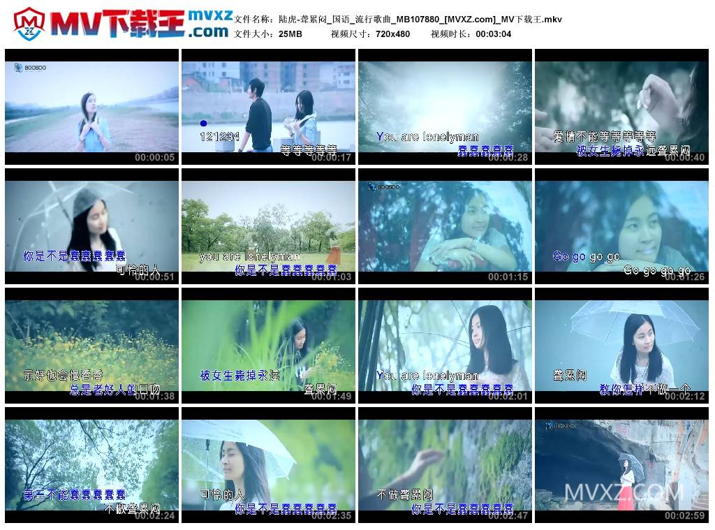 陆虎-聋累闷_国语_流行歌曲_MB107880